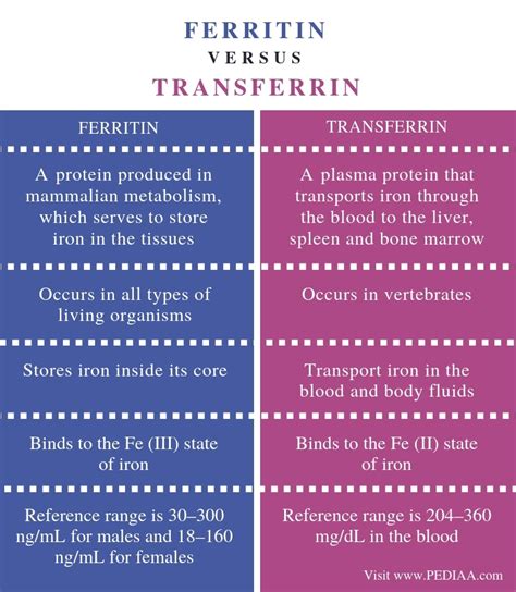 transferrin vs ferritin.